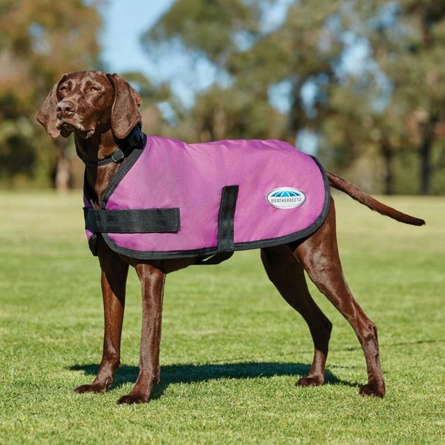 Pink WeatherBeeta ComFiTec Classic 100g Lightweight Dog Coat Pink image 1