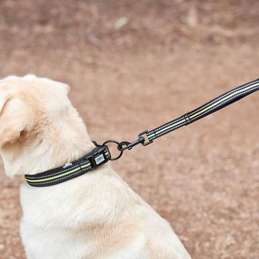 Black WeatherBeeta Reflective Dog Collar Black/Yellow