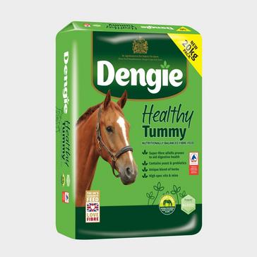 Clear Dengie Healthy Tummy 15kg