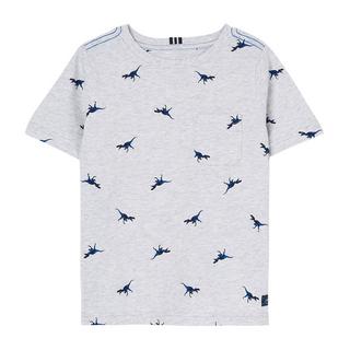 Childs Olly T-Shirt Grey Dino
