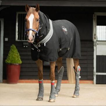 Black Equilibrium Magnetic Rug Black