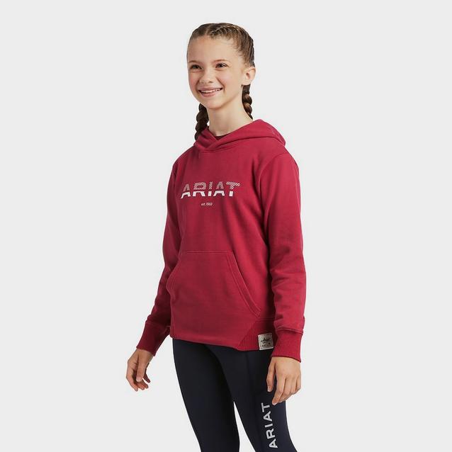 Red Ariat Childs 3D Logo Hoodie Redbud image 1