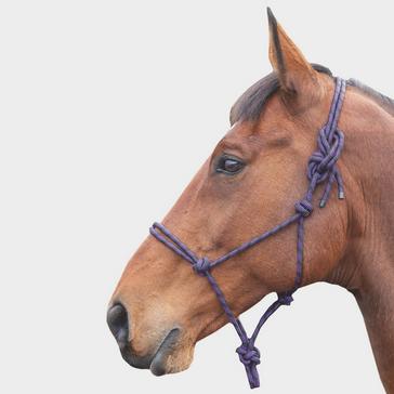 Purple Shires Shires Adjustable Rope Halter Purple/Black