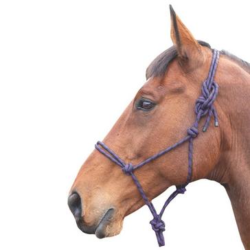 Purple Shires Shires Adjustable Rope Halter Purple/Black