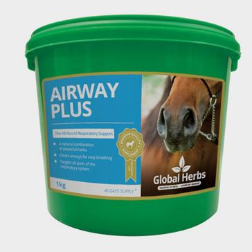  Global Herbs Airways Plus Powder 1kg