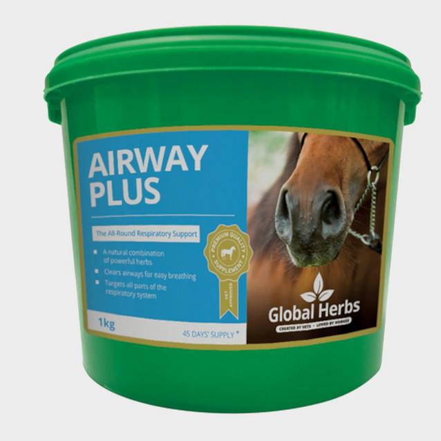 Global Herbs Airways Plus Powder 1kg image 1