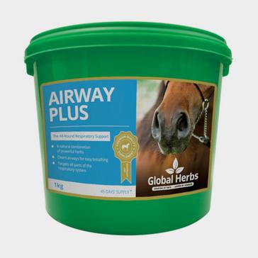  Global Herbs Airways Plus Powder 1kg