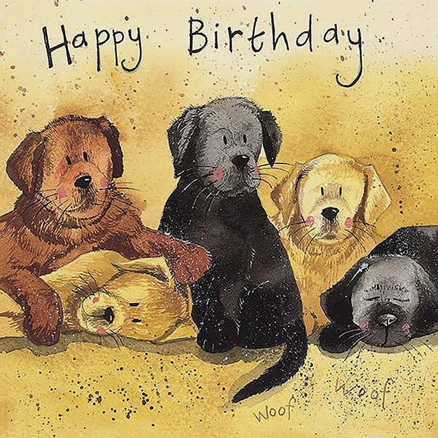  Alex Clark Square Birthday Card Litter Of Labs image 1