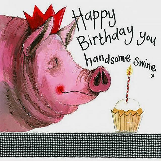  Alex Clark Sparkle Card Handsome Swine image 1
