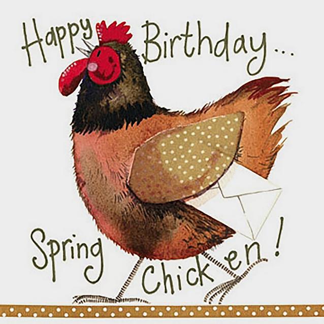  Alex Clark Sparkle Card Spring Chicken image 1