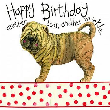  Alex Clark Sparkle Card Wrinkles