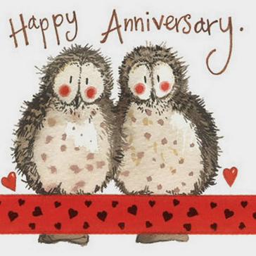  Alex Clark Little Sparkle Card Anniversary Owls