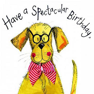  Alex Clark Little Sparkle Card Spectacles