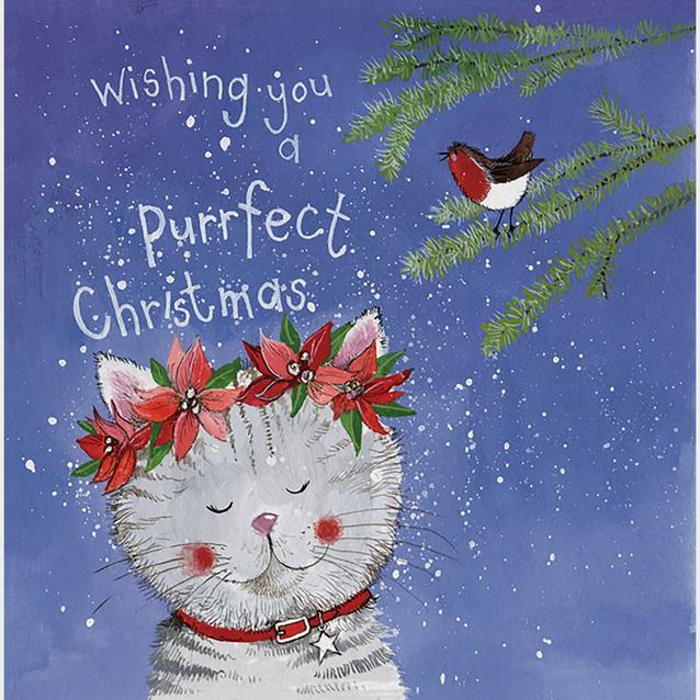  Alex Clark Medium Square Christmas Card 5 Pack Ivy Cat image 1