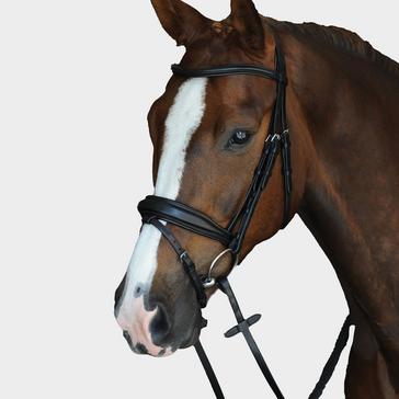 Black Collegiate Mono Crown Padded Raised Flash Bridle Black