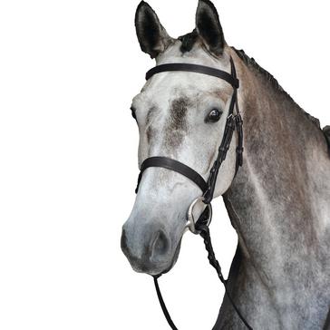 Black Collegiate Hunt Cavesson Bridle IV Black