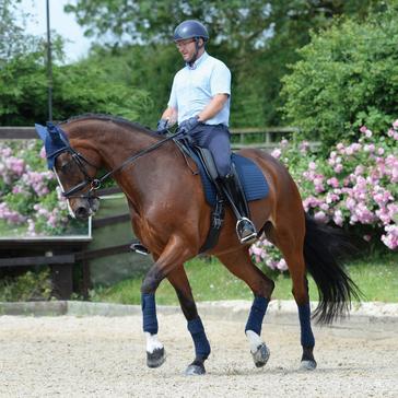 Blue WeatherBeeta Prime Dressage Saddle Pad Navy