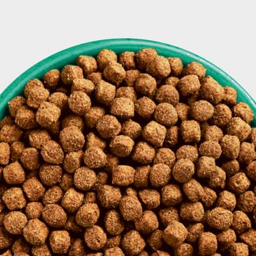 Clear James Wellbeloved Junior Turkey & Rice Dog Food 2KG