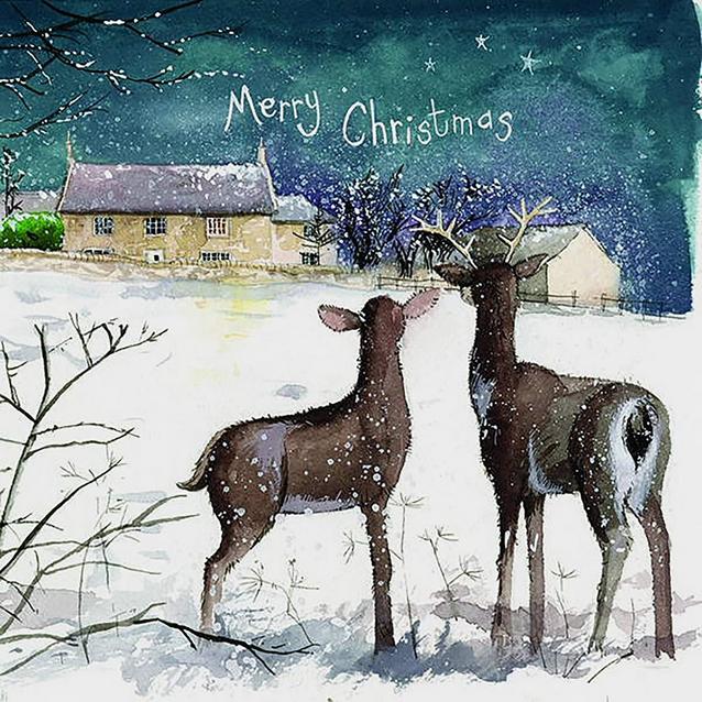  Alex Clark Medium Square Christmas Card 5 Pack Farmhouse Reindeer image 1