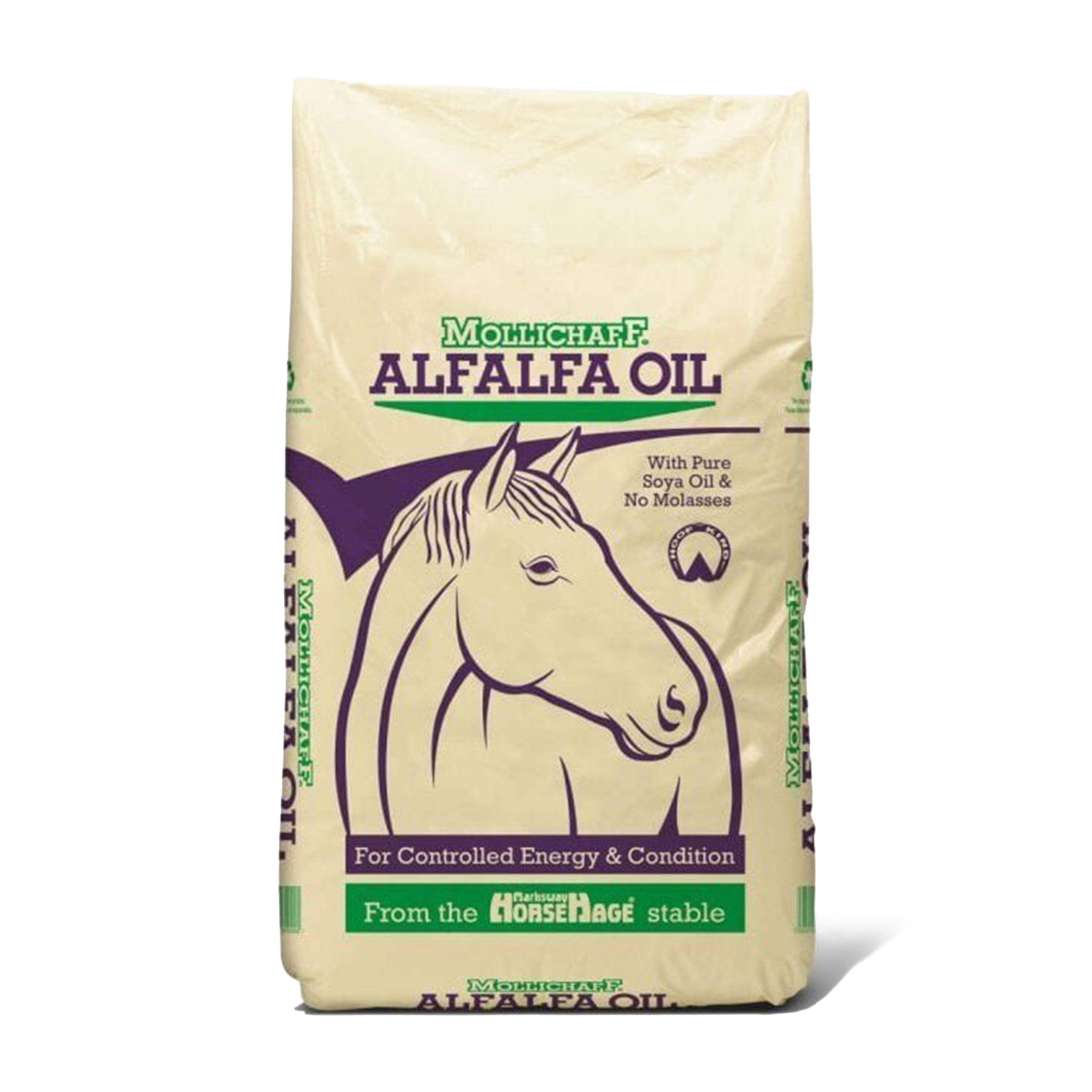 Alfalfa Oil