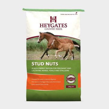 Clear Heygates Stud Nuts
