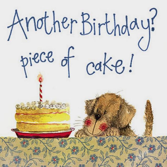  Alex Clark Piece of Cake Dog Birthday Card image 1