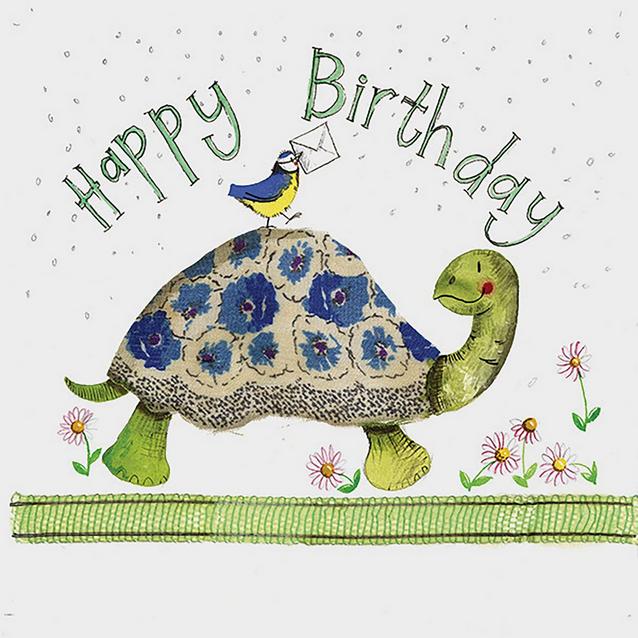  Alex Clark Birthday Card Turtle image 1