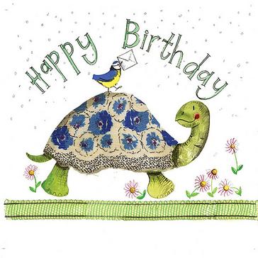  Alex Clark Birthday Card Turtle