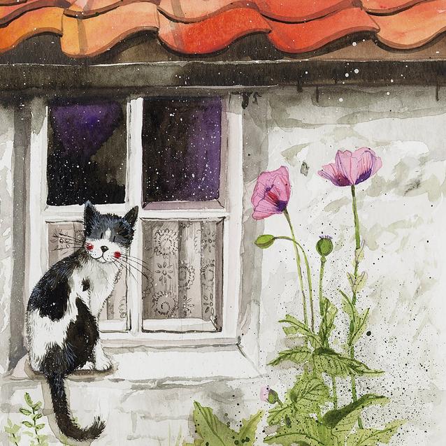 Multi Alex Clark Blank Card Window Cat image 1