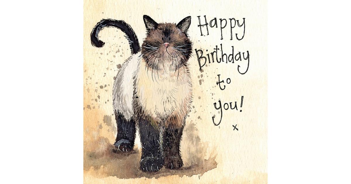 Alex Clark Birthday Card Coco | Naylors