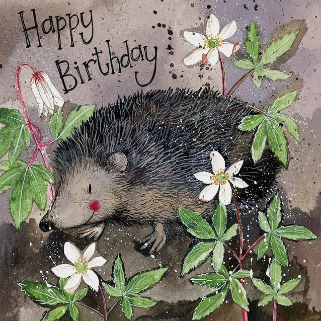  Alex Clark Birthday Card Mr Prickly Hedgehog  image 1