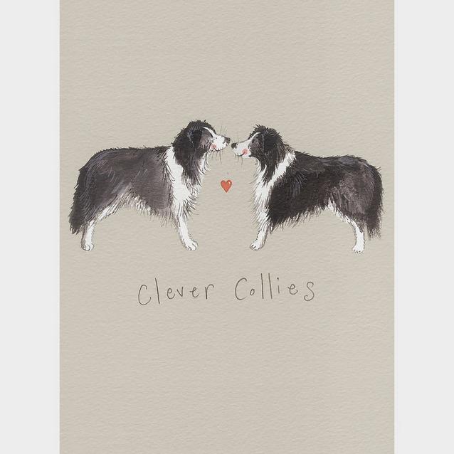  Alex Clark Small Spiral Bound Notepad Clever Collies image 1