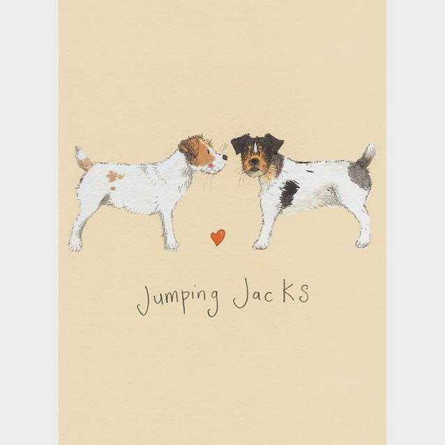  Alex Clark Small Spiral Bound Notepad Jumping Jacks Dogs  image 1