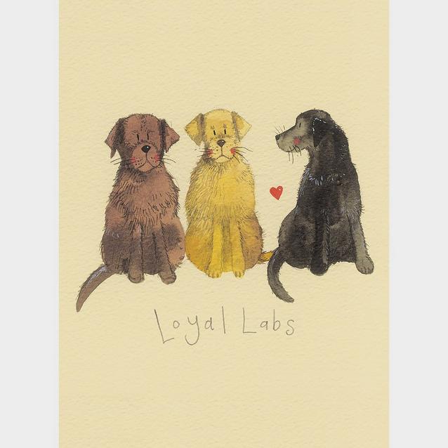  Alex Clark Small Spiral Bound Notepad Loyal Labs Dog image 1