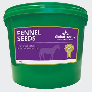  Global Herbs Fennel Seeds