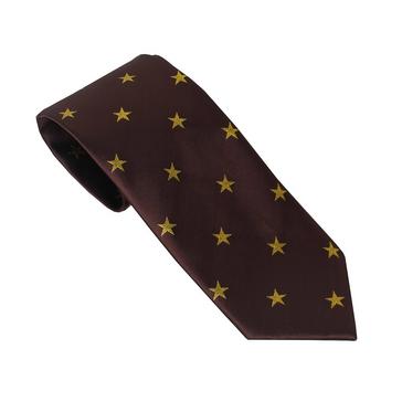 Brown Equetech Adult Star Show Tie Brown/Gold