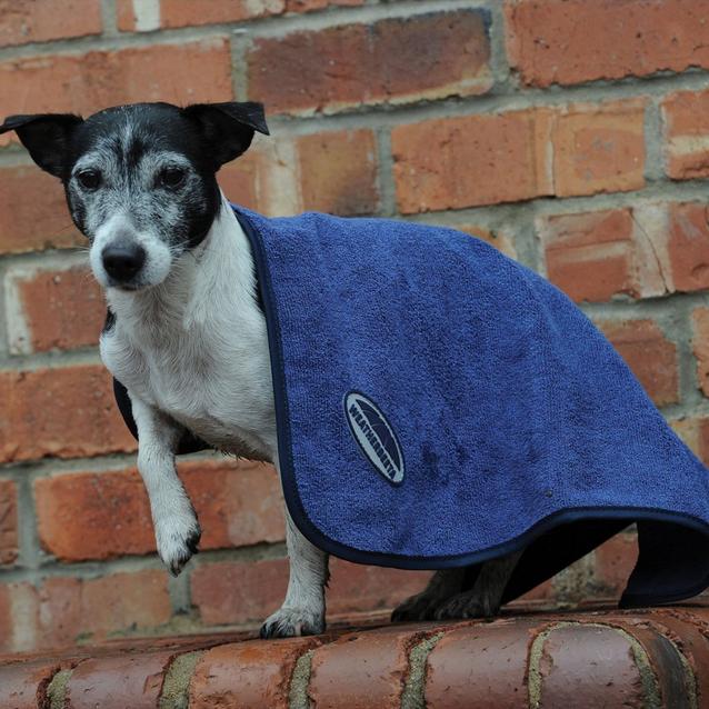 WeatherBeeta Dog Towel Blue Naylors
