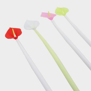 Assorted Wiggles Pen Lily