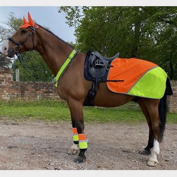 Yellow Equisafety Charlotte Dujardin Reflective Multi-Coloured Mesh Horse Ears Yellow/Orange