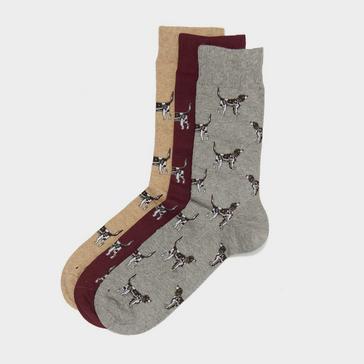 Assorted Barbour Socks Gift Box Pointer Dogs
