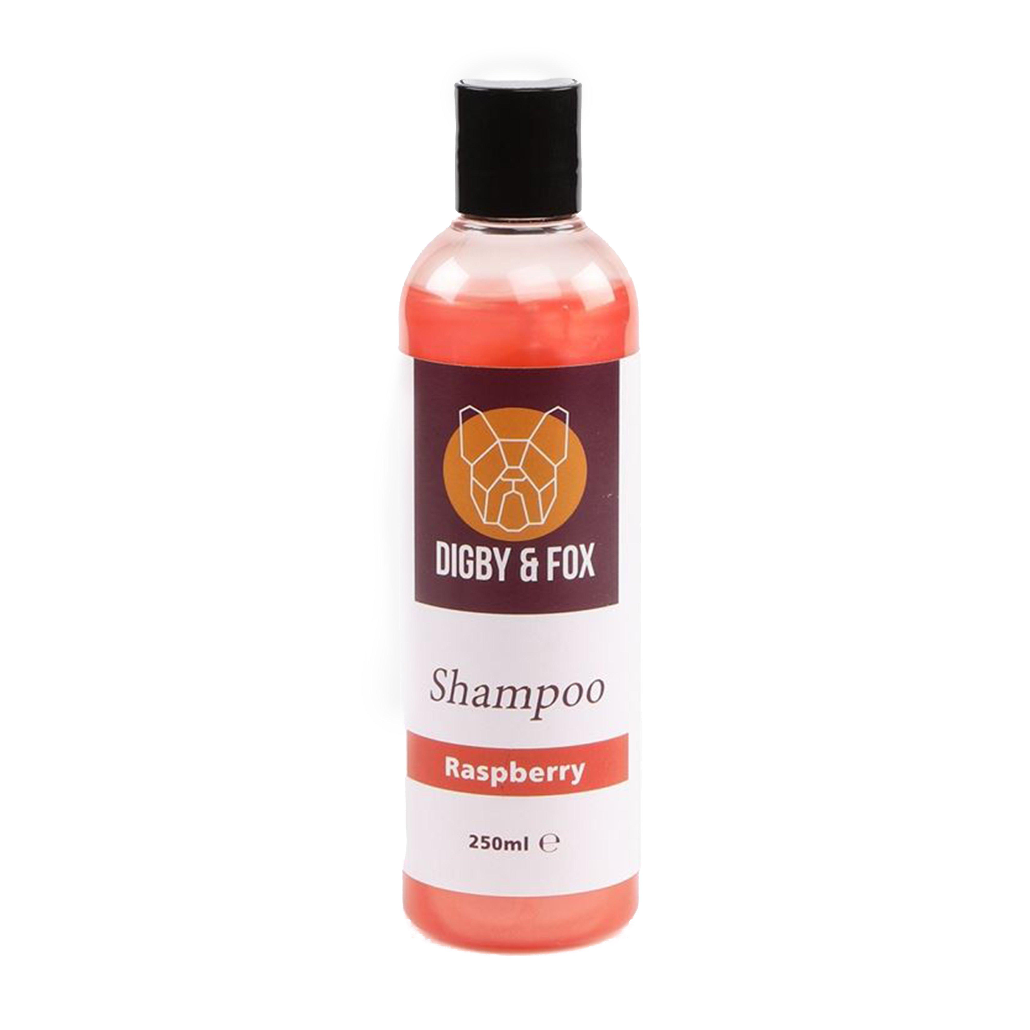 Raspberry Clean Shampoo