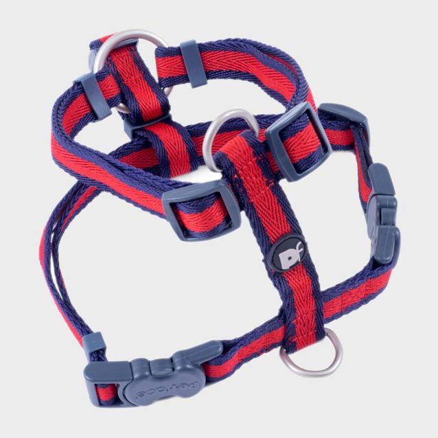 Red Petface Scarlet Stripe Dog Harness Red/Navy image 1