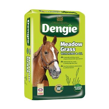  Dengie Meadow Grass