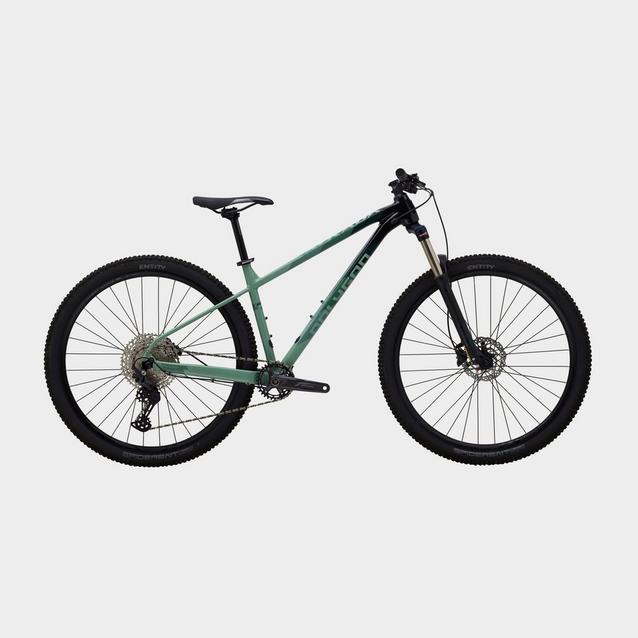 POLYGON Xtrada 29 MTB GO Outdoors