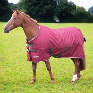 Red Shires Tempest Original Standard Neck 200g Medium Weight Turnout Rug Burgundy