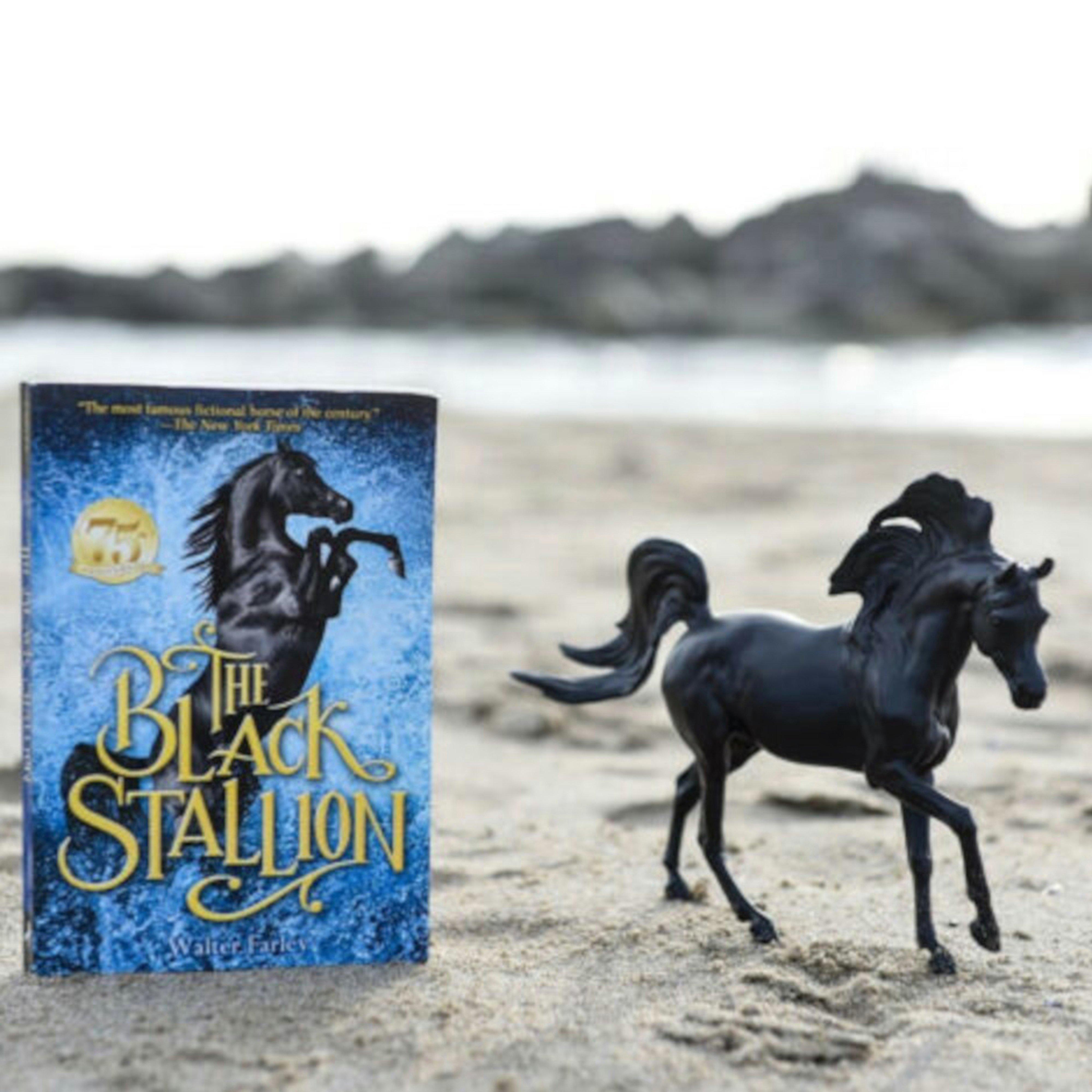 Black Stallion Book and Model Set
