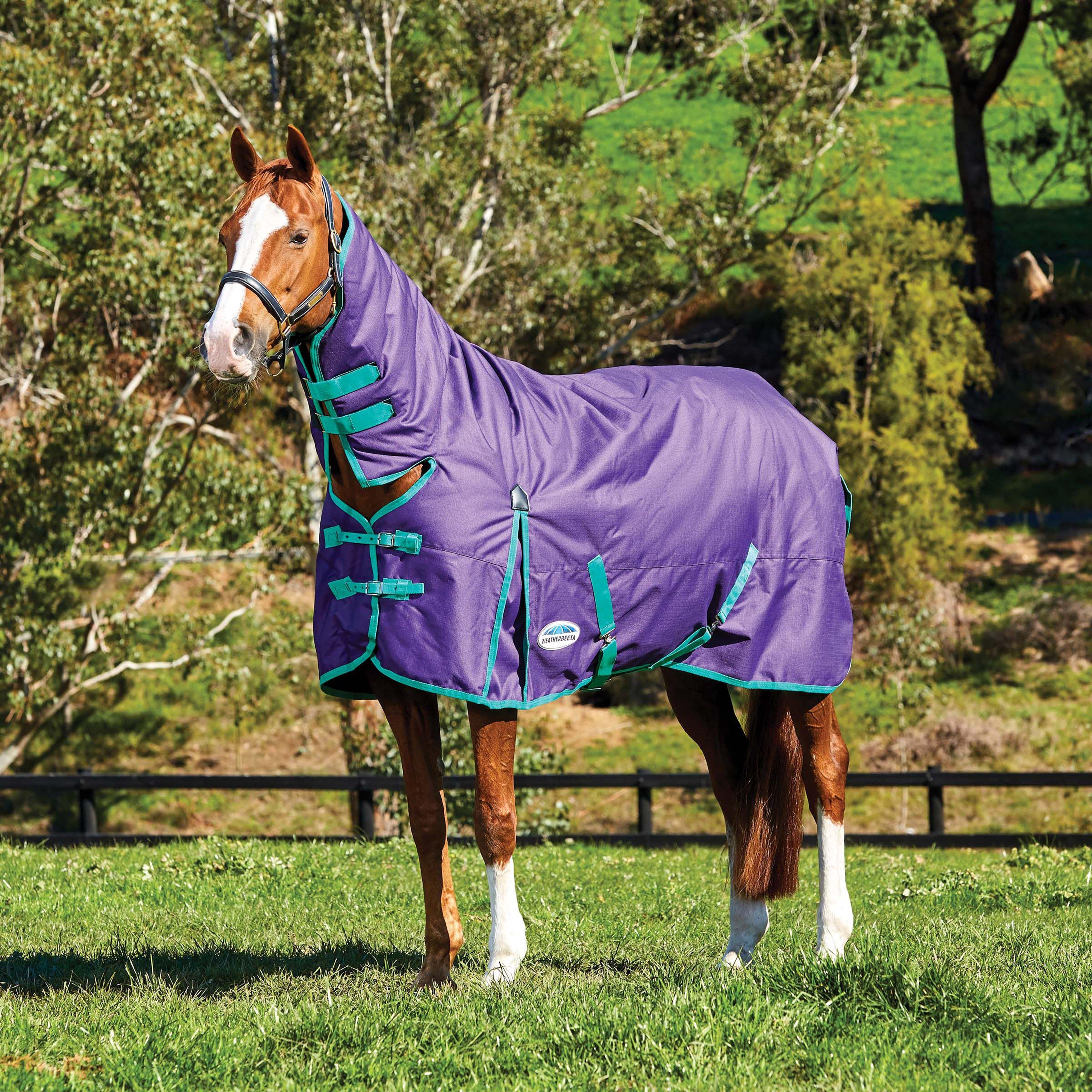 ComFiTec Essential Heavy Weight Combo Neck Turnout Rug Bright Purple/Green