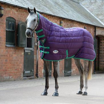 Purple WeatherBeeta Comfitec 210D Channel Quilt Medium Weight Combo Neck Stable Rug Grape Purple/Blue