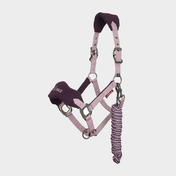  LeMieux Vogue Headcollar and Leadrope Fig