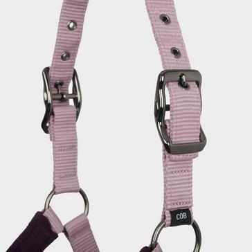  LeMieux Vogue Headcollar and Leadrope Fig